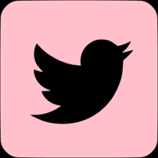 Image result for pink twitter
